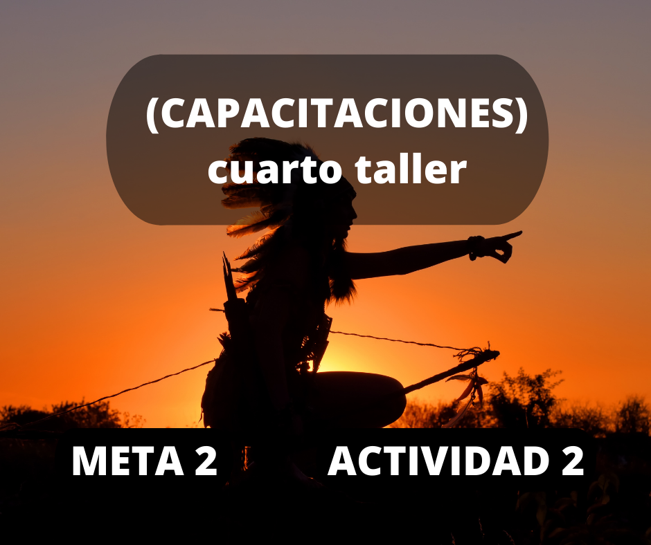 Meta 2 actividad 2